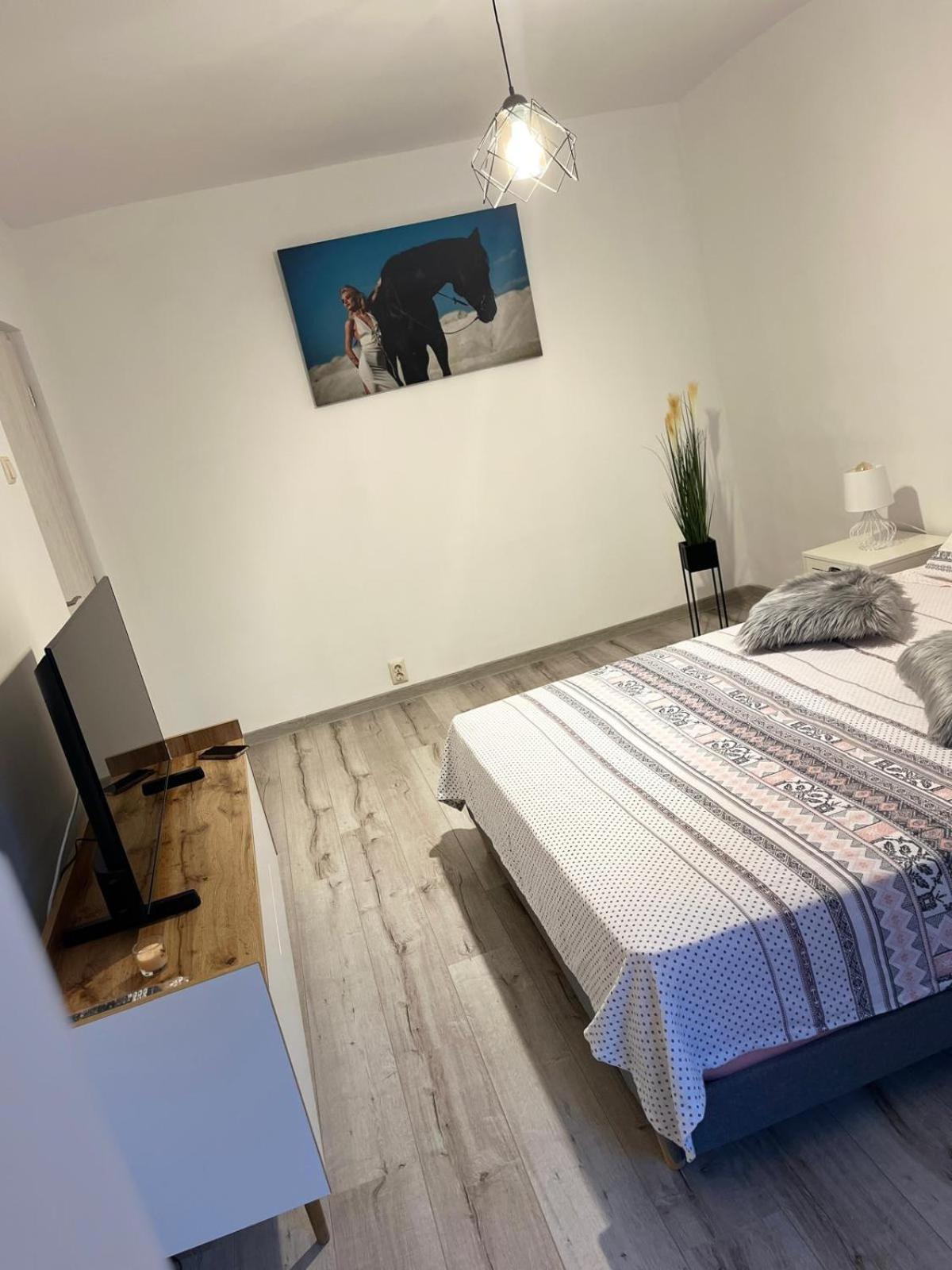 Apartament De Lux Craiova Esterno foto