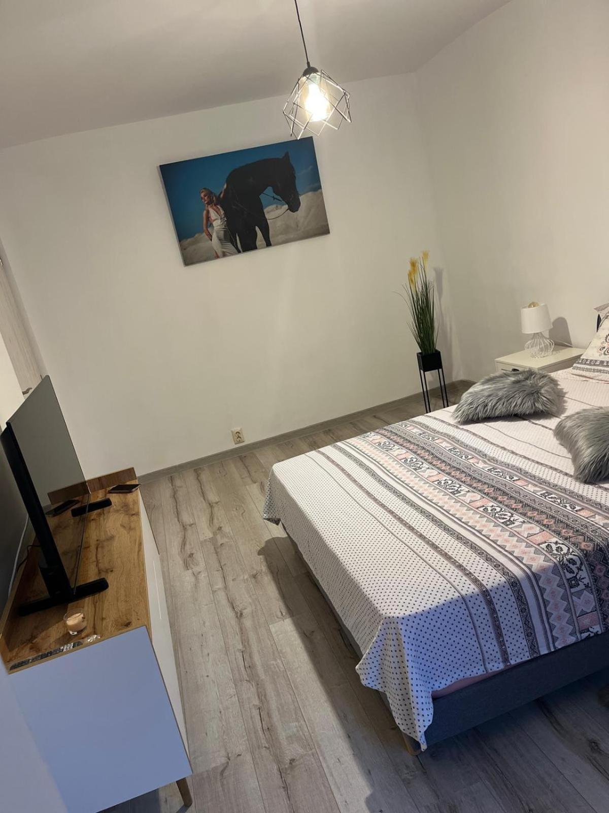 Apartament De Lux Craiova Esterno foto